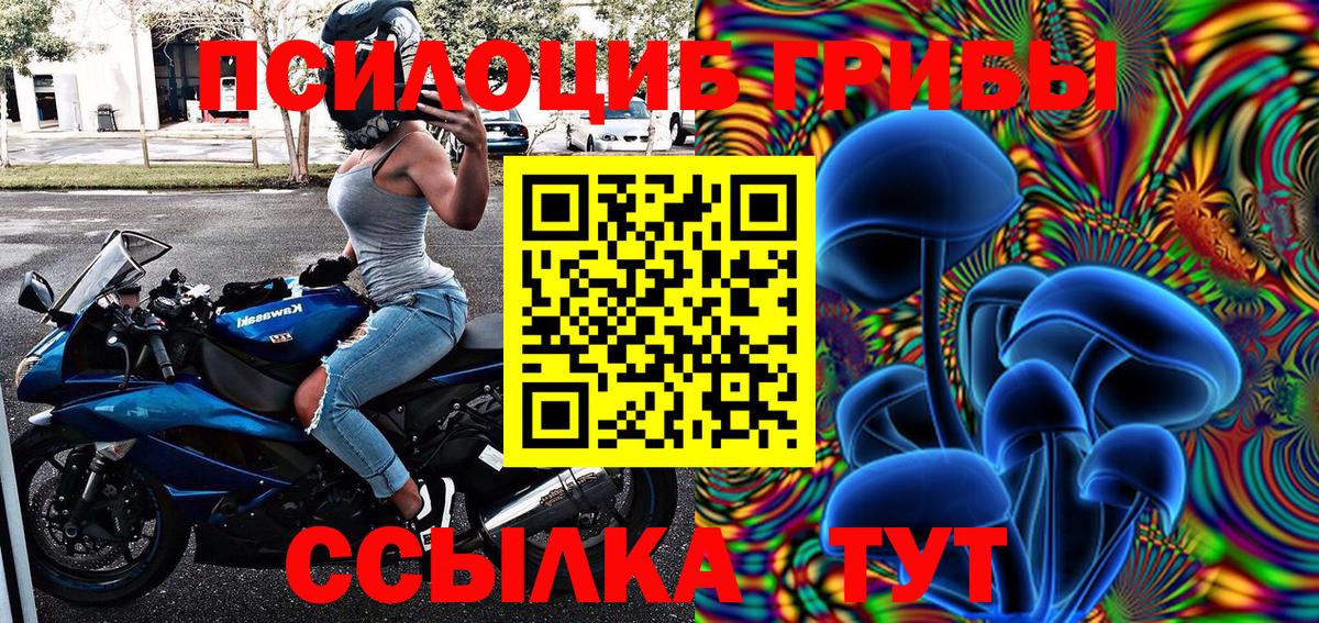 Галлюциногенные грибы прущие грибы Избербаш