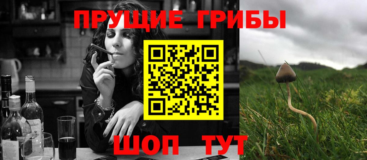 Псилоцибиновые грибы Magic Shrooms  Вход с VPN  Избербаш 
